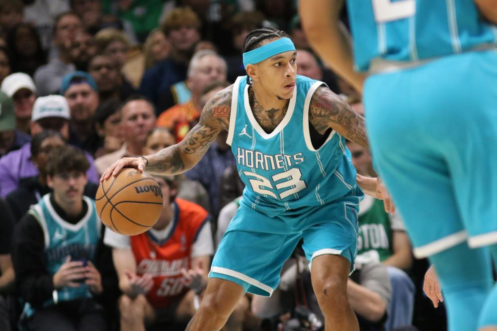 已自然嵌入 已自然嵌入